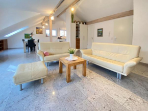 4 Zimmer Apartment, 125 qm, ruhig und zentrumsnah, max 5 Pers, Dachterasse, Garage, 1000 MBit